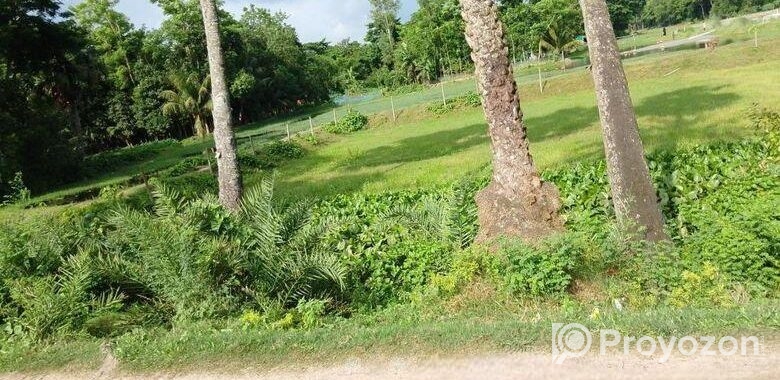 5 কাঠা বাঘা জমি বিক্রি হবে