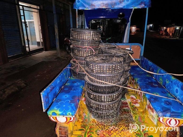 25-28 দিন বয়সের গড় কোয়েল পাখির বাচ্চা বিক্রি