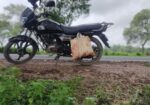 TVS Radeon 110 2020