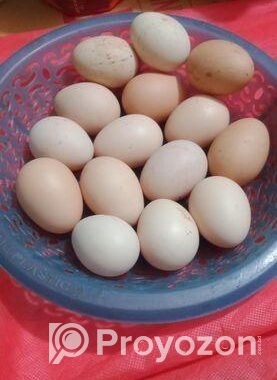 সিল্কি মুরগির বিজ ডিম