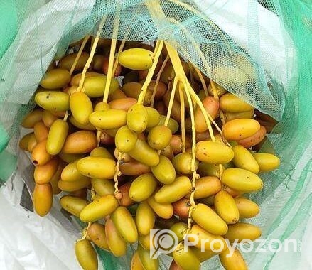 খেজুর ও চারা।