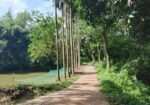 5 কাঠা বাঘা জমি বিক্রি হবে