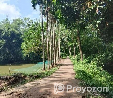 5 কাঠা বাঘা জমি বিক্রি হবে