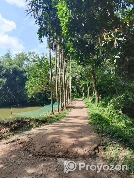 5 কাঠা বাঘা জমি বিক্রি হবে