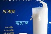 Weight gain Milk Natural Health Supplement
