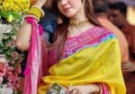 অরজিনাল পিওর চান্দেরি সিল্ক নতুন শাড়ি