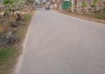 স্বপ্নের রিসোর্ট কিংবা শিল্পপ্রতিষ্ঠান, এবার গড়ে ত