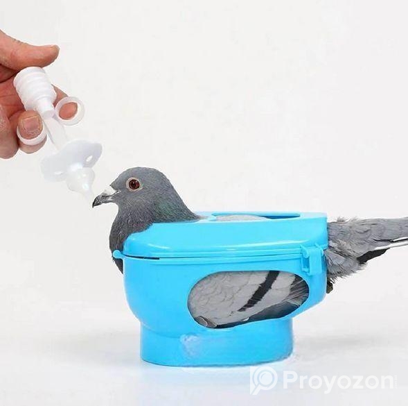 কবুতর হোল্ডার