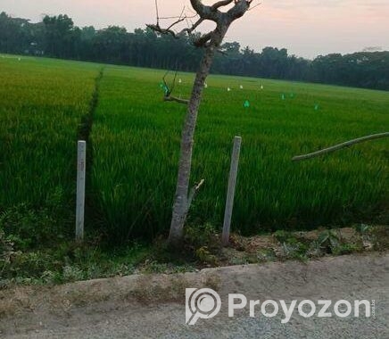 19 শতক জায়গা স্বল্পমূল্যে বিক্রি করা হবে