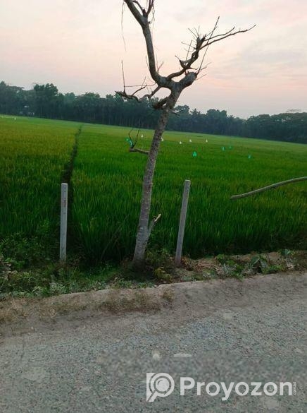 19 শতক জায়গা স্বল্পমূল্যে বিক্রি করা হবে