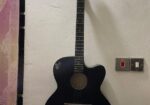 Signature Guitar (Model 265)