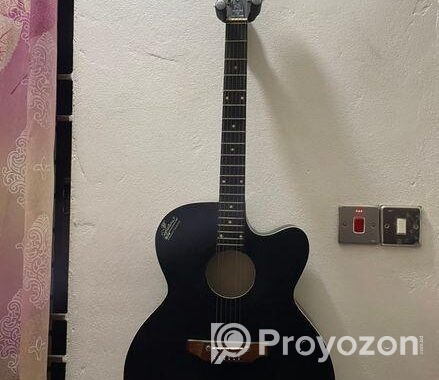 Signature Guitar (Model 265)