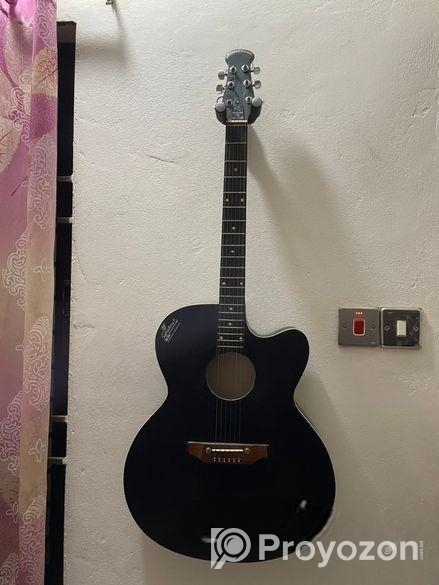 Signature Guitar (Model 265)