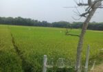 19 শতক জায়গা স্বল্পমূল্যে বিক্রি করা হবে
