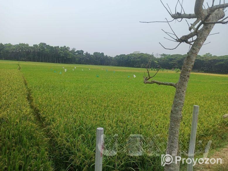 19 শতক জায়গা স্বল্পমূল্যে বিক্রি করা হবে