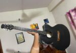 Signature Guitar (Model 265)