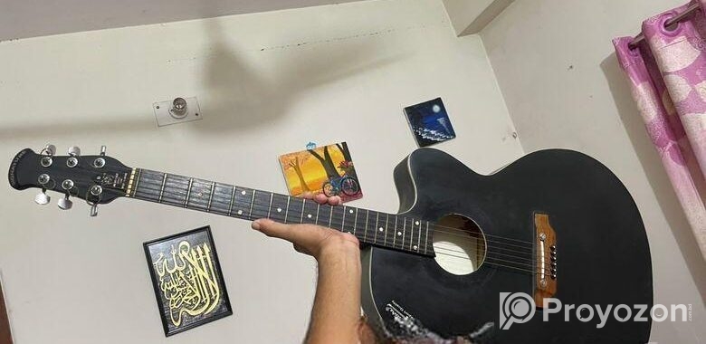 Signature Guitar (Model 265)