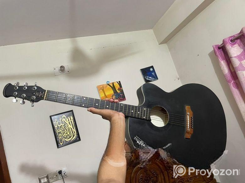 Signature Guitar (Model 265)