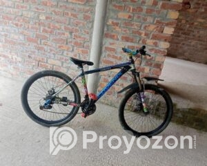 fitted-56_2025-07-24_13-22-22