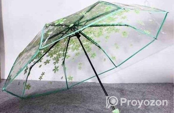 Transparent Umbrella