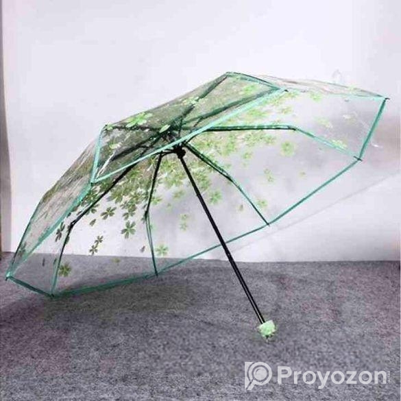Transparent Umbrella