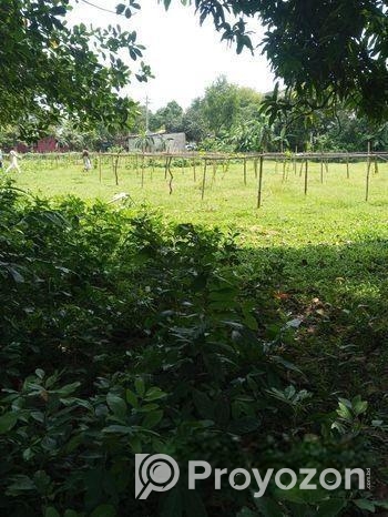 রিসোর্টের জন্য জমি কিনুন