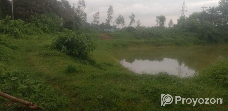 Land for sale
