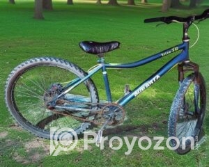 fitted-58_2025-07-24_13-34-31
