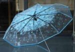 Transparent Umbrella