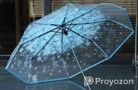 Transparent Umbrella