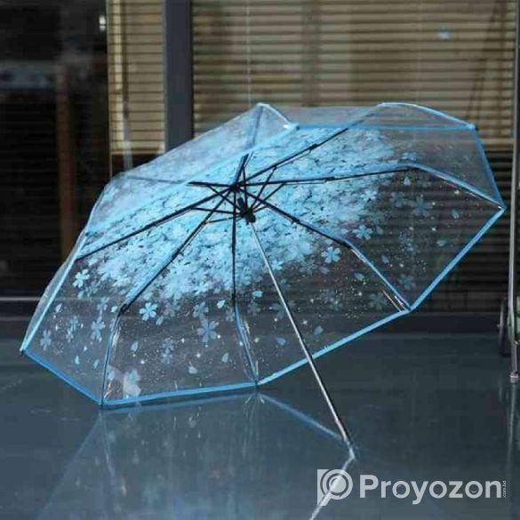 Transparent Umbrella