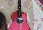 ukulele gutter