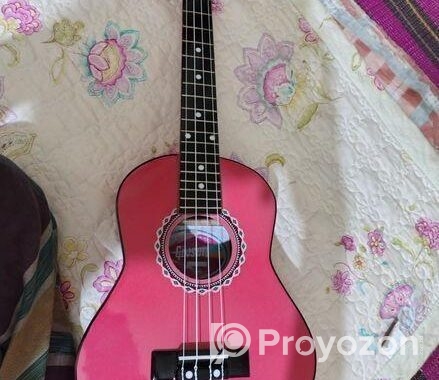 ukulele gutter