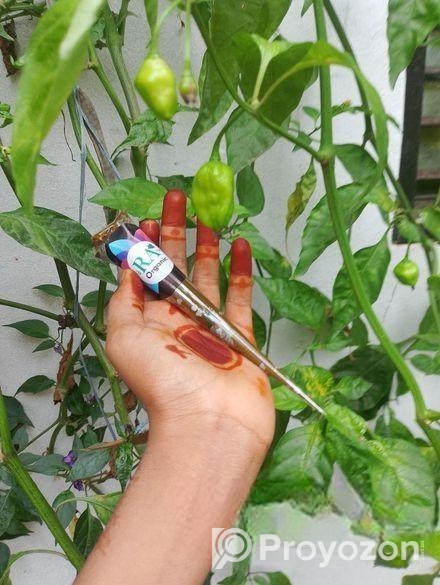 অর্গানিক মেহেদী