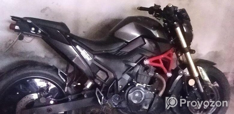 Runner Bolt 165R . 2022