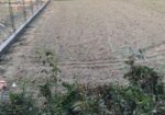 ৯.৫ শতক জমি বিক্রি হবে