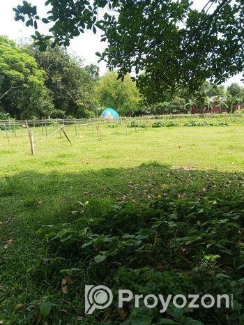 রিসোর্টের জন্য জমি কিনুন