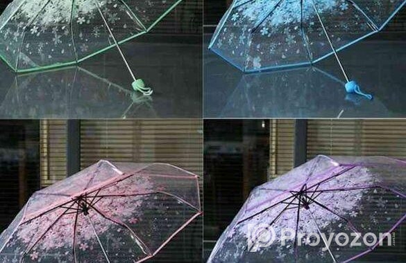 Transparent Umbrella