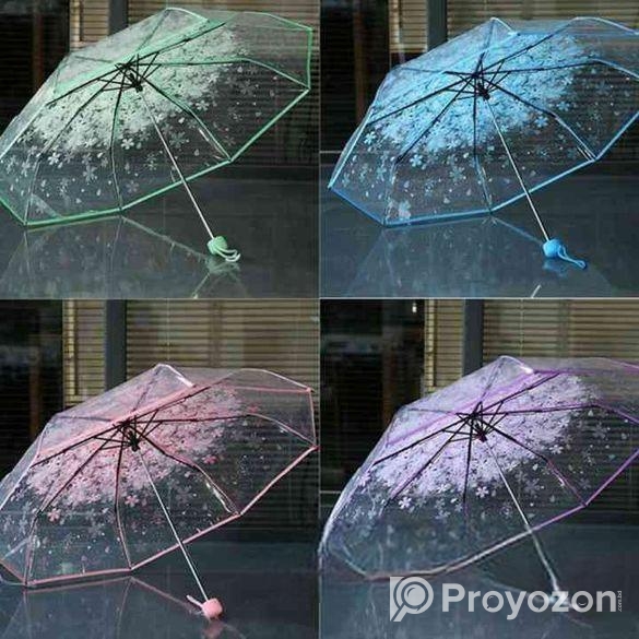 Transparent Umbrella