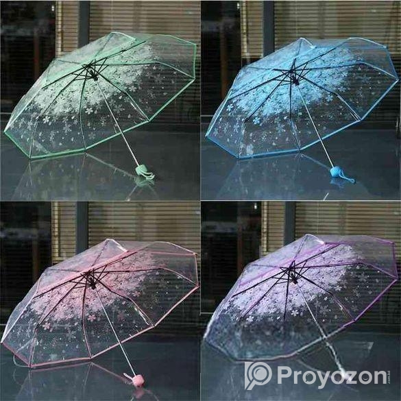 Colouful umbrella