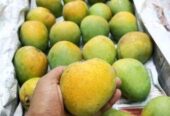 হিমসাগর