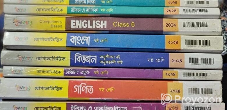 Class 6 Guide, 2024