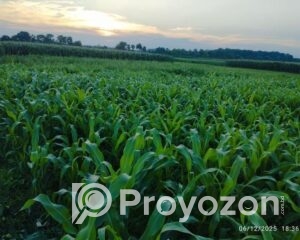 fitted-5_2025-07-24_10-52-45