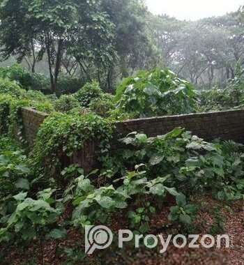 আশুলিয়া “নাভানা ভ্যালী” প্রকল্পে ২.৫০ কাঠা সাইজ