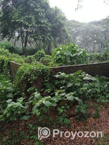 আশুলিয়া “নাভানা ভ্যালী” প্রকল্পে ২.৫০ কাঠা সাইজ