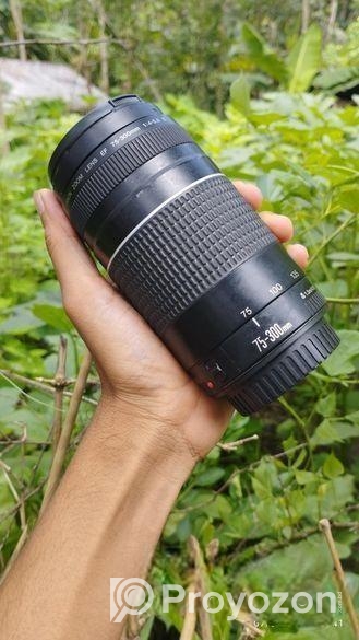 Canon 75-300 Lens