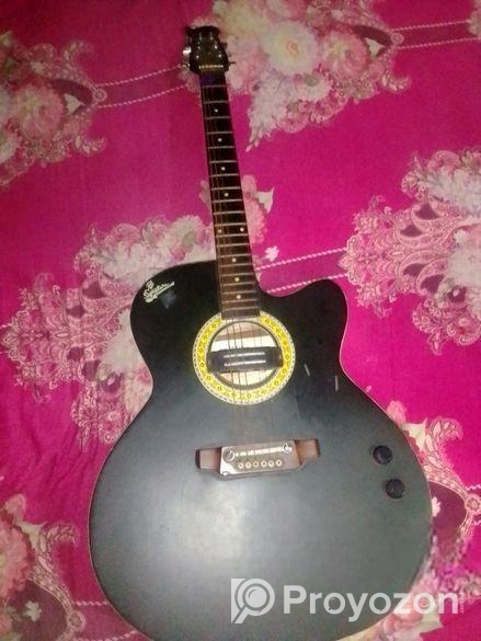 সিগনেচার গীটার ইউজ করা সেমি ইলেকট্রিক