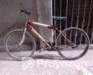 fitted-60_2025-07-29_10-20-20