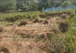 তিন রাস্তার মোড়ে নিষ্কণ্টক জমি ফ্যাক্টরি বা বসবাস
