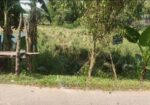 তিন রাস্তার মোড়ে নিষ্কণ্টক জমি ফ্যাক্টরি বা বসবাস